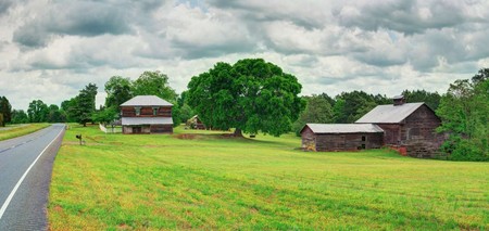 Pastoral 2

Custom sizes, finishes and canvas available. Please contact us for further information. Unless otherwise noted the image floats on the printed sheet. A paper white border (approx. 2 inches on all sides) will be around the entire image.